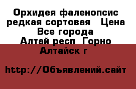 Орхидея фаленопсис редкая сортовая › Цена ­ 800 - Все города  »    . Алтай респ.,Горно-Алтайск г.